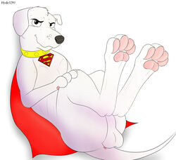 2018 animal_genitalia anus ass balls canine canine_genitalia cape cartoon_network clothing collar dc dc_comics feral fur hyde3291 invalid_tag krypto krypto_the_superdog labrador_retriever male_only mammal pawpads paws penis pose simple_background smile superdog toes white_background white_fur