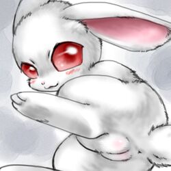 2015 anus blush box_xod female feral fur furry furry_only lagomorph looking_at_viewer low_res mammal presenting presenting_pussy pussy rabbit red_eyes solo tail white_fur