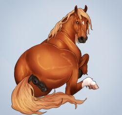 2018 anatomically_correct animal_genitalia animal_pussy anus ass clitoris dock equine equine_pussy female female_feral feral horse looking_at_viewer lying mammal piippujalka plump_labia puffy_anus pussy resting simple_background solo thick_thighs