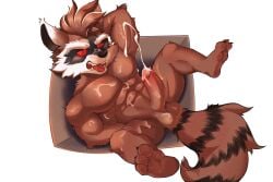 1boy abs animal_ears arm_behind_head autumnbright520 bara barefoot blush box claws cum cum_on_body cum_on_legs cum_on_penis ejaculation english_commentary erection facial furry furry_male guardians_of_the_galaxy highres in_box in_container male_focus marvel marvel_rivals muscular muscular_male open_mouth pectorals penis raccoon_boy raccoon_ears raccoon_tail red_eyes rocket_raccoon tail testicles tongue tongue_out white_background