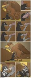 absurd_res accipitrid accipitriform anthro avian ball_sniffing balls bird bodily_fluids corvid corvus_(genus) crow cum cum_covered cum_on_face cumshot dominant dominant_male duo eagle ejaculation erection felid fellatio feral genital_fluids genitals gryphon hi_res licking lion male male/male mammal massage masturbation messy midnightgryphon mythological_avian mythological_creature mythology oral oscine pantherine passerine penile penis servicing_from_below sex size_difference sniffing solo stable sucking text tongue tongue_out url