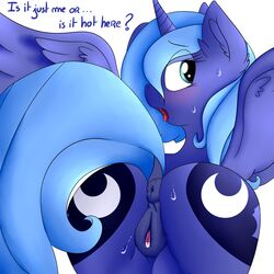 ... 2017 ? alicorn anatomically_correct anatomically_correct_pussy animal_genitalia animal_pussy anus ass blue_feathers blue_hair blush clitoral_winking clitoris cutie_mark dialogue dock english_text equine equine_pussy eyebrows eyebrows_visible_through_hair eyelashes feathered_wings feathers female feral friendship_is_magic fur hair hi_res horn in_heat inner_ear_fluff looking_back mammal my_little_pony nude open_mouth princess_luna_(mlp) puffy_anus pussy rear_view saralien simple_background solo sweat teal_eyes text tongue tongue_out white_background wings