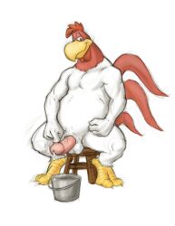 anthro avian balls beak bird bodily_fluids bucket chicken container cum erection feathers foghorn_leghorn furniture galliform genital_fluids genitals humanoid_genitalia humanoid_penis looney_tunes male multicolored_body multicolored_feathers nude penis phasianid red_body red_feathers simple_background sitting smile solo stool tail tail_feathers two_tone_body two_tone_feathers unknown_artist warner_brothers white_background white_body white_feathers