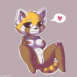 aggressive_retsuko blush breasts clothed clothing female fur furry furry_only heart mammal mr-shin nipples partially_clothed pussy red_panda retsuko sanrio solo straight_hair tail