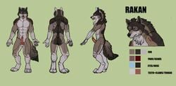 2018 animal_genitalia animal_penis anthro anthro_only balls blue_eyes canine canine_penis digital_media_(artwork) furry jagal knot male mammal model_sheet no_humans nude penis rakan_(werewolf) scar simple_background solo were werewolf