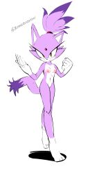 blaze the cat from sega