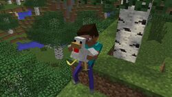 3d animated avian chicken chicken_(minecraft) held_up minecraft no_sound steve_(minecraft) video