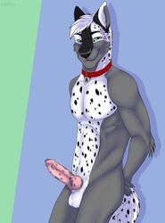 2018 5_fingers animal_genitalia animal_penis anthro balls black_fur blue_background canine canine_penis cinta collar erection eyebrows fur green_eyes grey_fur grey_hair hair hands_behind_back knot leaning looking_at_viewer male male_only mammal multicolored_fur multicolored_hair nude penis pink_penis pose ratchet_wolfe side_view simple_background smile smirk solo spots standing two_tone_fur two_tone_hair two_tone_penis white_fur white_hair wolf