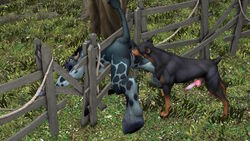 1boy 1girls 2018 3d accidental_exposure accidentally_stuck animal_genitalia anthro ass balls bbdworks bovine canine canine_penis cattle cunnilingus erection female femsub fence feral fur grass interspecies knot large_ass large_penis licking lost_clothes male maledom mammal nude oral outside penis realistic sex sniffing straight stuck stuck_in_fence surprise tauren tongue tongue_out tree vaginal_penetration video_games warcraft zoophilia