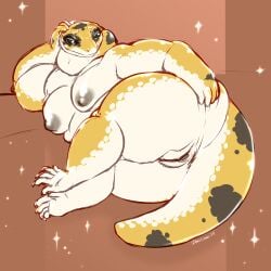 1:1 anthro bedroom_eyes big_breasts breasts countershading danji-isthmus female genitals hi_res lizard narrowed_eyes obese obese_anthro obese_female overweight overweight_anthro overweight_female peter's_banded_skink pussy reptile scalie seductive skink solo tail thick_thighs vulva
