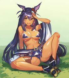 animal_ears bikini blue_bikini blue_hair blush breasts clothing dark-skinned_female dark_skin female highres hishi_amazon_(umamusume) horse_ears large_breasts navel oerba_yun_fang open_mouth paintale red_eyes shiny shiny_skin solo spread_legs sweat swimsuit tail umamusume