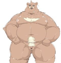 2025 anthro bear belly big_belly black_nose flaccid genitals hi_res kemono male mammal micropenis moobs navel nipples overweight overweight_male penis simple_background small_penis solo standing suishou0602 white_background