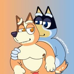 andromorph anthro baddworkfella69 bandit_heeler bluey_(series) canid canine canis chilli_heeler domestic_dog duo female female/female first_person_view furry genitals intersex male male/female male/male mammal penetrating_pov penetration penile penile_penetration penis penis_in_vagina slightly_chubby vaginal_penetration vaginal_penetration vein veiny_penis