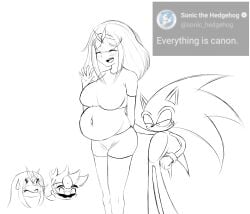 1boy 2girls anthro_on_human big_breasts breasts dr._mario dr._mario_(series) female male mario mario_(series) mythra nintendo pregnant pyra sega self_upload smug sonic_(series) sonic_the_hedgehog sonic_the_hedgehog_(series) super_smash_bros. super_smash_bros._ultimate xenoblade_(series) xenoblade_chronicles_2