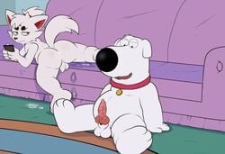 after_sex animal_genitalia animal_penis anthro ass backsack balls brian_griffin canine canine_penis cellphone collar cum cum_drip cum_from_ass cum_on_balls cum_on_face cum_on_penis cum_stains dripping duo erection eroborus family_guy kitsune_(ero) knot lying male male_only mammal on_front penis phone sitting sofa white_balls yaoi