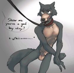 2025 animal_genitalia anthro athletic athletic_anthro athletic_male balls beastars canid canine canis claws collar dialogue english_text eyebrows fully_sheathed fur genitals good_boy grey_background hi_res leash legoshi_(beastars) licking licking_lips licking_own_lips looking_at_another male mammal mindkog nude offscreen_character onomatopoeia open_mouth scar self_lick sheath simple_background sitting solo sound_effects talking_to_another teeth text tongue tongue_out tuft whining wolf
