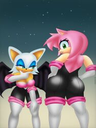 amy rose from sonic (series) by okamilyn