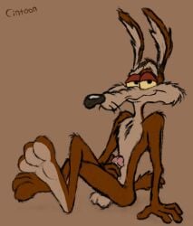 2025 3_toes anthro balls biped canid canine canis chest_tuft cintoon cocky colored coyote erection feet flat_colors foot_focus genitals hand_on_penis hi_res humanoid_genitalia humanoid_penis looking_at_viewer looney_tunes male mammal masturbation narrowed_eyes nude penis seductive simple_background sitting soles solo tail toes tuft two_tone_feet warner_brothers wile_e._coyote