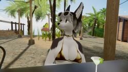 1girls 3d anthro ass beach big_breasts bikini biped breasts canid canine delilahgrey female female_only fur furry golden_week mammal ocean seaside solo standing swimsuit swimwear two-piece_swimsuit vr vr_media vrchat vrchat_avatar vrchat_model vrchatmedia wolf_girl wolf_humanoid