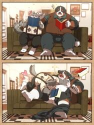 2025 713_hpl anthro anus ass balls bernese_mountain_dog black_body black_nose blush book bottomwear canid canine canis clothing detailed_background domestic_dog duo facial_hair genitals grey_body hi_res kemono male male/male mammal mature_male molosser moobs mountain_dog moustache nipples overweight overweight_male pants shirt sitting surprised suspenders swiss_mountain_dog tail tail_motion tailwag topwear