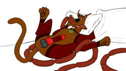 animal_genitalia animal_penis anus balls canine canine_penis clothing collar dangerdoberman evilpaw_(artist) feral food hanna-barbera knot legwear looking_at_viewer male male_only mammal penis sausage sausages scooby-doo scooby-doo_(character) simple_background solo stockings testicles traced white_background