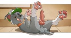 1boy animal_genitals animal_penis balls canid canine canine_genitals canine_penis canis claws cock collar commission commission_art cub dick digital_drawing_(artwork) digital_media_(artwork) dog_collar domestic_canine domestic_dog fangs feet feral feral_focus feral_male feral_only floppy_ears genitals grey_body grey_fur hat hi_res high_resolution highres hind_legs hindlegs hindpaw knot knotted_cock knotted_dick knotted_penis legs_spread legs_up looking_at_viewer male male_canine male_cub male_dog male_feral male_focus male_only nickelodeon open_mouth open_smile orange_collar orange_eyes paw_on_penis paw_patrol pawpads paws penis pink_pawpads pink_penis psy101 puppy rocky_(paw_patrol) short_tail smile smiling smiling_at_viewer solo_male spread_legs tail toe_claws toes tongue tongue_out young younger_male zoophilia