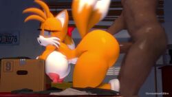 10_seconds 1boy 1girls 3d all_fours anthro anthro_on_human anthro_penetrated big_breasts big_penis blue_eyes bouncing_breasts dark-skinned_male dark_skin doggy_style female from_side furry genderswap_(mtf) huge_breasts interspecies large_penis leviantan581re male miles_prower miles_tails_prower no_sound penis rule_63 sex sex_from_behind shorter_than_10_seconds sonic_(series) straight tagme tails_the_fox tailsko video white_fur yellow_body