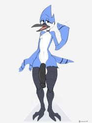 2024 anthro avian avian_feet balls beak bird black_beak black_penis blue_body blue_feathers blue_jay bodily_fluids cartoon_network chest_tuft circumcised corvid cyancoyote english_description erection feathers front_view genitals half-closed_eyes hi_res humanoid_genitalia humanoid_penis jay_(bird) male mordecai_(regular_show) multicolored_body multicolored_feathers narrowed_eyes new_world_jay open_mouth oscine passerine penis regular_show simple_background small_waist solo standing sweat sweaty_genitalia sweaty_legs sweaty_penis sweaty_thighs tuft white_background white_body white_feathers