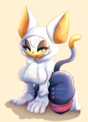 rouge the bat from sonic (series) by branuzzz