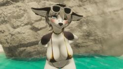 1girls 3d anthro ass beach big_breasts bikini biped breasts canid canine delilahgrey female female_only fur furry golden_week mammal ocean seaside solo standing swimsuit swimwear two-piece_swimsuit vr vr_media vrchat vrchat_avatar vrchat_model vrchatmedia wolf_girl wolf_humanoid