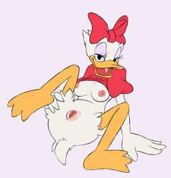 anthro areola avian bird bow breasts clitoris clothing daisy_duck disney duck eyelashes feathers female looking_at_viewer lying nipples on_back presenting pussy shirt simple_background soft_feathers solo tongue unknown_artist white_feathers