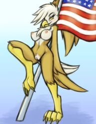 2018 american_flag anthro anthrofied areola avian bald_eagle beak bird breasts brown_feathers eagle evilymasterful feathers female flag gilda_(mlp) looking_at_viewer my_little_pony nipples non-mammal_breasts pussy solo talons white_feathers yellow_beak