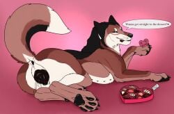 animal_genitalia animal_pussy animal_vulva anus black_anus black_body black_fur black_nose black_pawpads black_vulva blue_eyes bodily_fluids brielle_(wolffylegend) brown_body brown_fur candy canid canine canine_genitalia canine_pussy canine_vulva dessert english_text female female_feral feral food fur genital_fluids genitals hi_res holidays killthe_demon looking_at_viewer mammal narrowed_eyes pawpads pussy side_view solo speech_bubble text vaginal_fluids valentine's_day vulva white_body white_fur