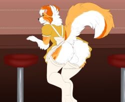 anthro anus ariozyn-soulcatcher ass australian_shepherd backsack balls bar_stool canid canine canis claws clothed clothing crossdressing domestic_dog dress femboy floppy_ears fur furniture genitals herding_dog hi_res kanon_(applejacksville) leaning_on_object legwear looking_at_viewer looking_back male mammal multicolored_body multicolored_fur no_underwear orange_body orange_fur pastoral_dog perineum presenting presenting_hindquarters raised_leg sheepdog solo stool thigh_highs white_body white_fur