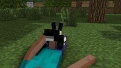 3d animated bestiality feral human_on_feral interspecies loop minecraft no_sound outdoors rabbit rabbit_(minecraft) steve_(minecraft) video zoophilia