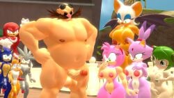 blaze_the_cat cosmo_the_seedrian dr._eggman eggman knuckles_the_echidna rouge_the_bat silver_the_hedgehog sonic_(series) sonic_the_hedgehog tails_the_fox