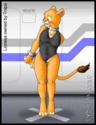 anthro blush bondage bound breasts clitoris clothing collar feline female femsub fur handcuffs leotard leotard_aside lion mammal nude one-bar_prison one_bar_prison penetration pussy shackles toes tydrian vaginal_penetration yellow_fur