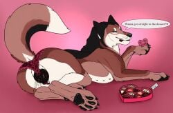 animal_genitalia animal_pussy animal_vulva black_body black_fur black_nose black_pawpads black_vulva blue_eyes bodily_fluids brielle_(wolffylegend) brown_body brown_fur candy canid canine canine_genitalia canine_pussy canine_vulva dessert english_text female female_feral feral food fur genital_fluids genitals hi_res killthe_demon lingerie_on_feral looking_at_viewer mammal narrowed_eyes pawpads pussy side_view solo speech_bubble text vaginal_fluids vulva white_body white_fur