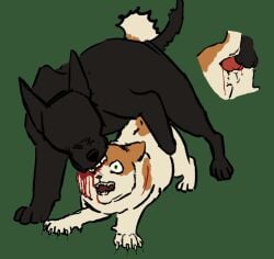 anal anal_sex animal_genitalia animal_penis blood blood_from_ass blood_in_ass bodily_fluids brightheart_(warriors) canid canine canine_genitalia canine_penis canis claws domestic_cat domestic_dog duo felid feline felis female female_penetrated feral feral_on_feral fogcloud forced from_behind_position genitals gore knot knotted_penis male male/female male_penetrating male_penetrating_female mammal mounting penetration penis rape scared_face sex warriors_(book_series)