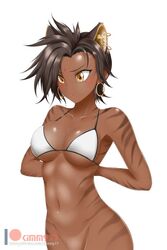 1girls 4_ears animal_ears belly big_cat bikini bindi black_hair bra breasts brown_hair brown_stripes brunette cat_ears cat_eyes catgirl dark-skinned_female ear_fluff faunus female gold_eyes kimmy77 navel no_panties pussy rooster_teeth rwby short_hair sienna_khan slim slit_eyes stripes tiger tiger_ears tiger_girl white_background yellow_eyes