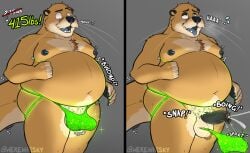 anthro belly big_belly biped bodily_fluids clothing confusion cum cumshot ejaculation erection foreskin genital_fluids genitals hi_res jockstrap looking_pleasured male mammal mustelid nah nipple_piercing nipples onomatopoeia otter overweight overweight_male penis piercing simple_background solo sound_effects text tongue tongue_out torn_clothing transformation uncircumcised underwear weight_gain weight_gain_male werewhisky