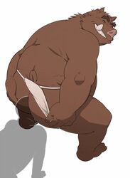 anal anthro ass big_butt boar clothed clothing colored eto1212 fundoshi fundoshi_aside human japanese_clothing looking_back male male_only mammal oral porcine rimming sex silhouette simple_background spreading underwear white_background yaoi