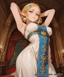 princess zelda from nintendo by ozz1ru