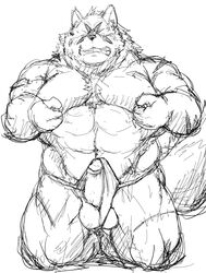 2015 barazoku black_and_white canine clothed clothing erection facing_viewer fundoshi humanoid_penis japanese_clothing kemono kneeling kotobuki male mammal monochrome muscular nipple_pinch obese overweight partially_clothed penis pinch simple_background sketch solo underwear white_background wolf