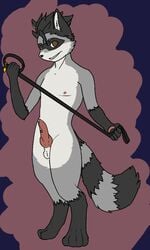 animal_genitalia animal_penis anthro bondage brown_eyes canine_penis iates_(artist) knot looking_at_viewer male mammal nipples penis precum procyonid raccoon ringtail sack simple_background smile solo tervos_(artist) tervos_(character)