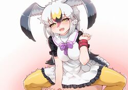 :d bird_tail black-tailed_gull_(kemono_friends) blush breath cowgirl_position dress eyebrows_visible_through_hair female frilled_dress frills gradient gradient_background grey_hair hair_between_eyes head_wings kemono_friends long_hair multicolored_hair open_mouth orgasm pantyhose sex short_sleeves simple_background smile solo_focus straddling sweat tanaka_kusao trembling white_hair wristband yellow_eyes yellow_legwear