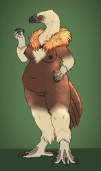 anthro avian beak belly bird breasts claws female griffon_vulture nipples nude pussy simple_background slightly_chubby solo talons thick_thighs toes vulture yaroul