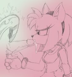 amy rose from sonic (series) by ghostspookygoo