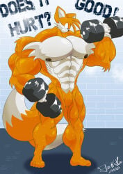 abs biceps fox jack_hoo_(artist) male muscles muscular muscular_arms muscular_legs muscular_male muscular_thighs pecs sonic_(series) tail tails_the_fox weights