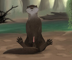 2018 balls blue_eyes claws digital_media_(artwork) erection feet feral fur looking_at_viewer lutrine male male_only mammal mustelid otter penis scenery scratch_gryph_(artist) toes